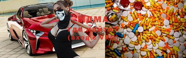 шишки Аркадак