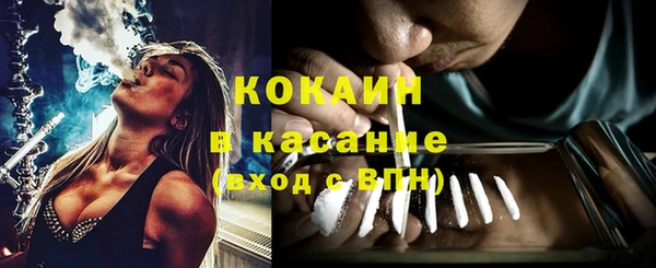 шишки Аркадак